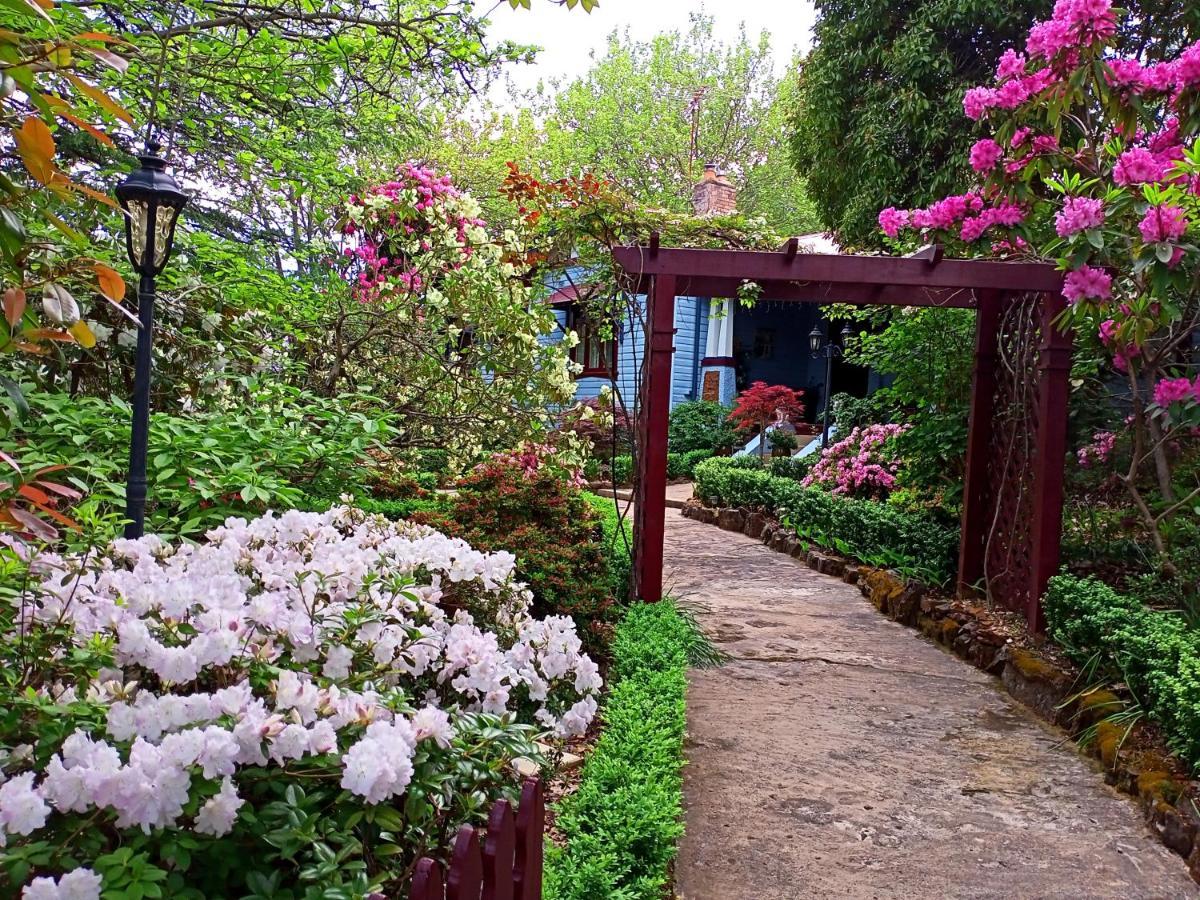 Kubba Roonga Guesthouse - Boutique Luxury Spa Retreat & Gardens - Blue Mountains Блэкхит Экстерьер фото