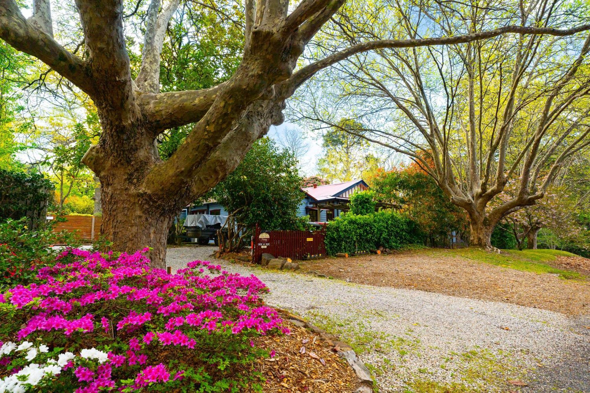 Kubba Roonga Guesthouse - Boutique Luxury Spa Retreat & Gardens - Blue Mountains Блэкхит Экстерьер фото